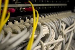 network cables